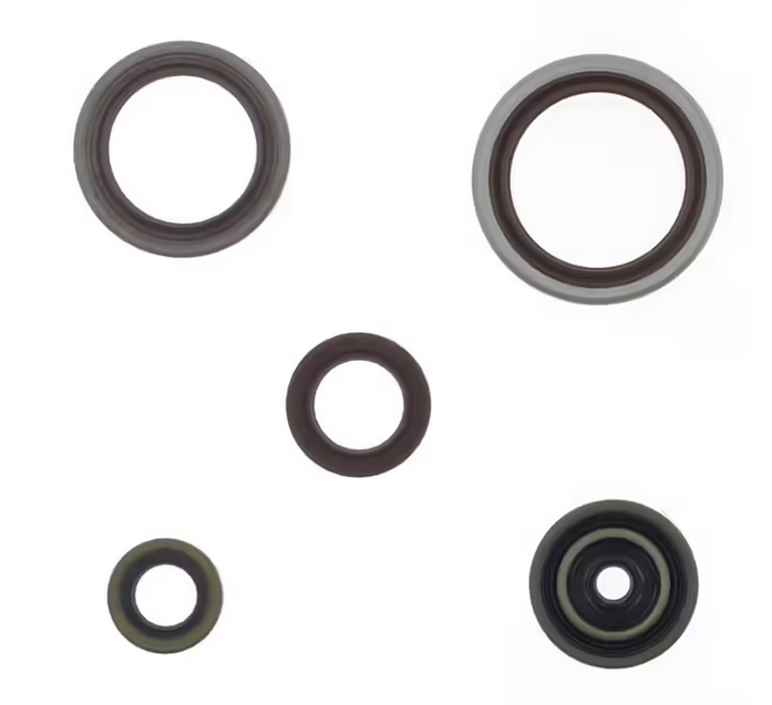 ENGINE OIL SEAL SET BETA 250/300 13-25, ATHENA P400060400014 image 1