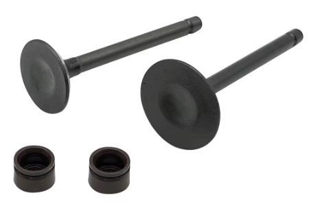 VALVE & SEAL EXHUAST INTAKE KIT 2000-2018 YAMAHA TTR 125 L E LE 5VL-E2111-00-00 1JP-E2111-00-00 image 1