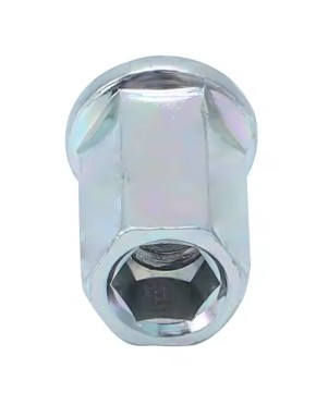 EXHAUST STUD NUTS HEXAGONAL SCREW 10mm YAMAHA RAPTOR 660R 660 R 350 WARRIOR 350 GRIZZLY 350 thumbnail 2