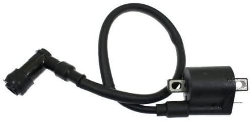 COIL HT IGNITION ETON, 650455 thumbnail 2