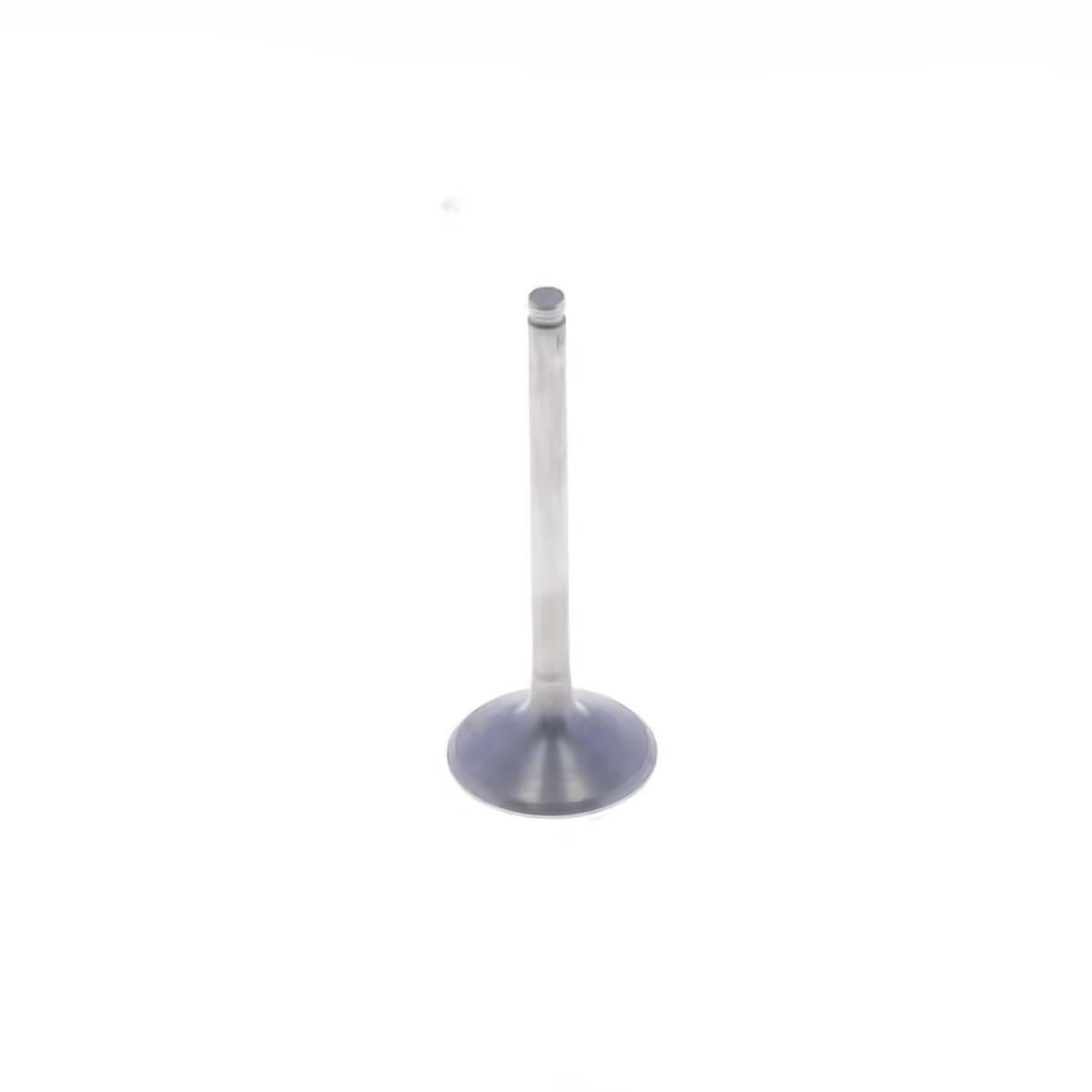 EXHAUST VALVE TITANIUM YZ/WR/XEF 450 20-22, ATHENA VE-485206T YAMAHA/FANTIC thumbnail 2
