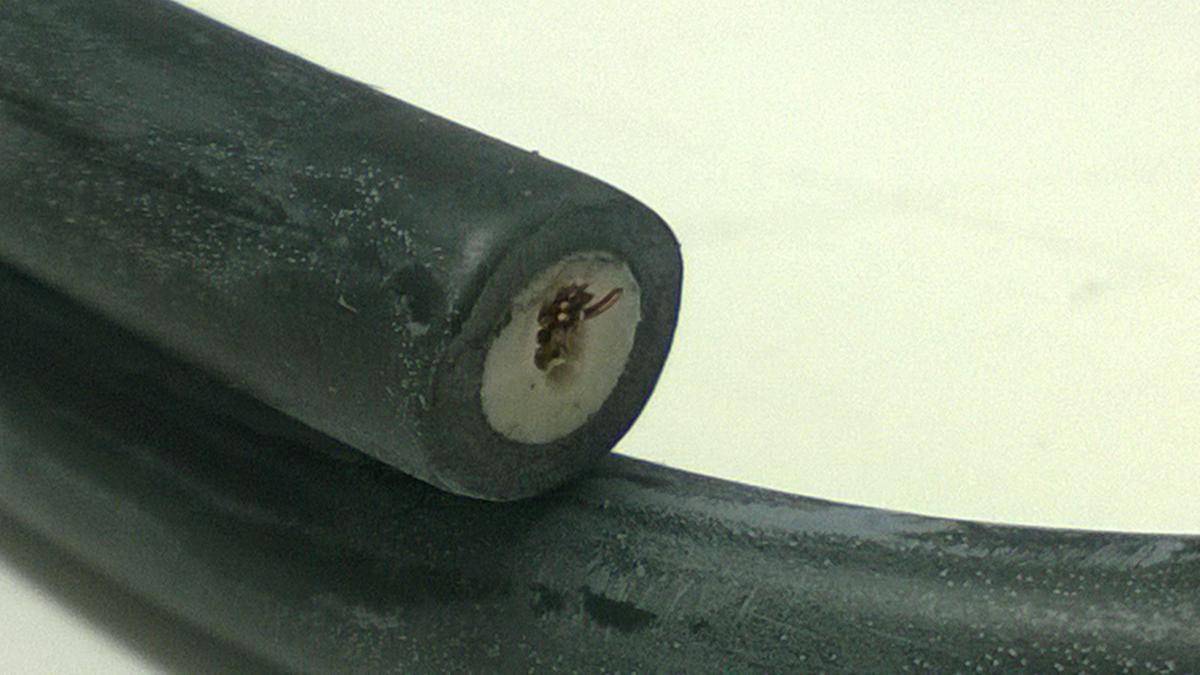 S/SEED SAME AS 44-050    .........................  COIL IGNITION 30510-HM7-003, HONDA TRX450F 1995-2004, DZE 4018, IHA0002 thumbnail 4