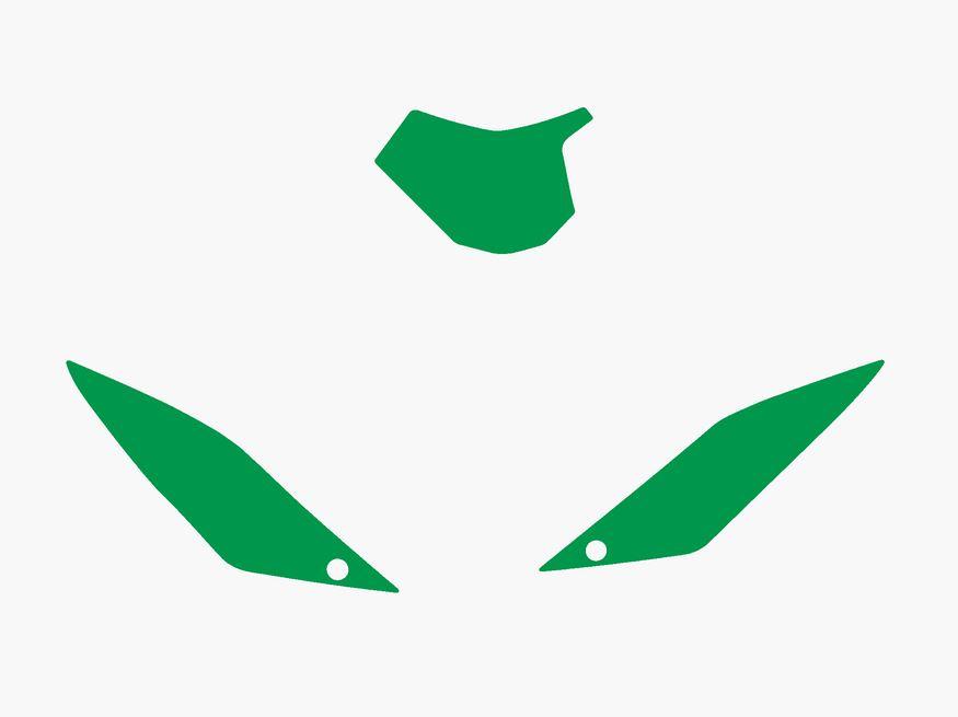 10-11 GASGAS BACKGROUNDS GREEN, BLACKBIRD 3905/30 image 1