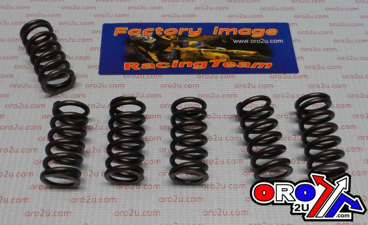CLUTCH SPRING HD SET/6 [CSK006] image 1