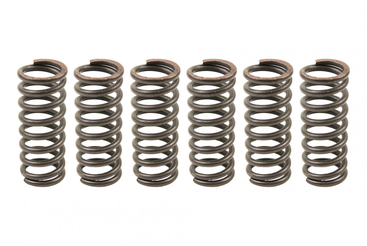 CLUTCH SPRING SET/6 CSK014 image 1