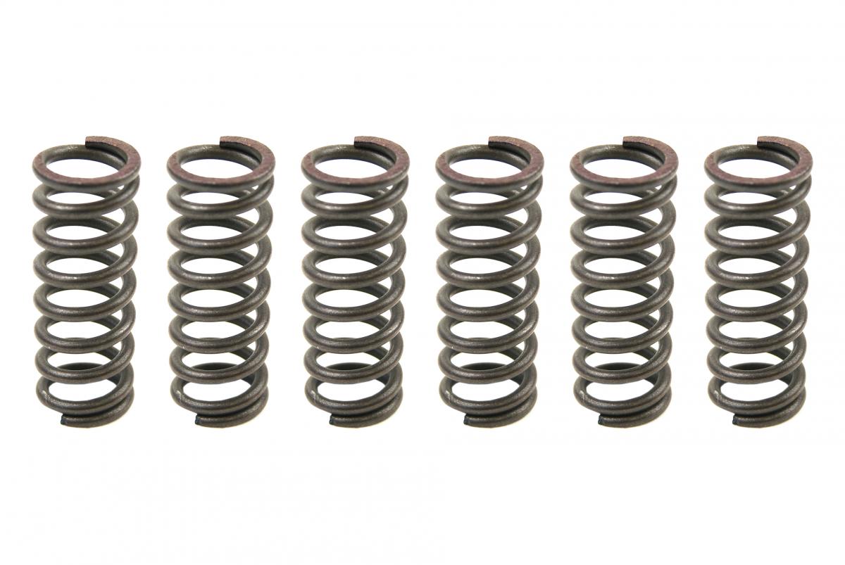 CLUTCH SPRING KIT SET/6 EBC CSK049 image 1