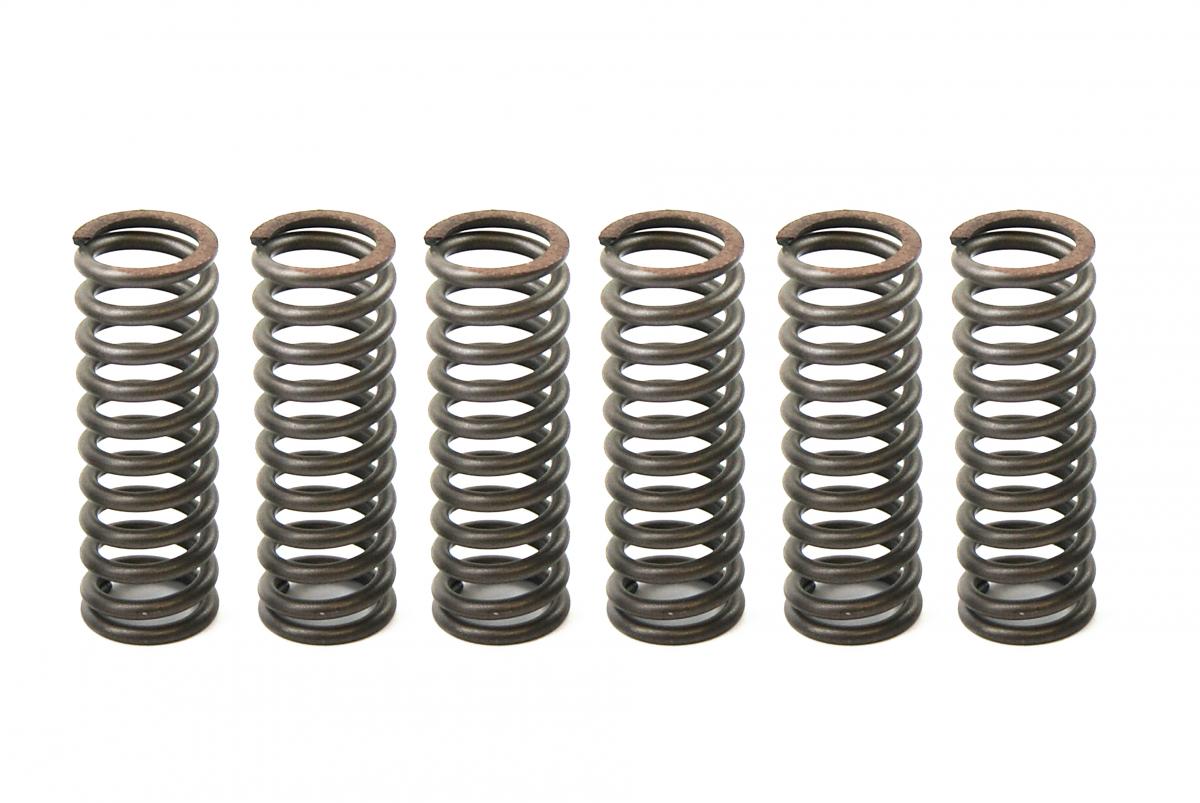 CLUTCH SPRING SET/6 EBC CSK058 image 1