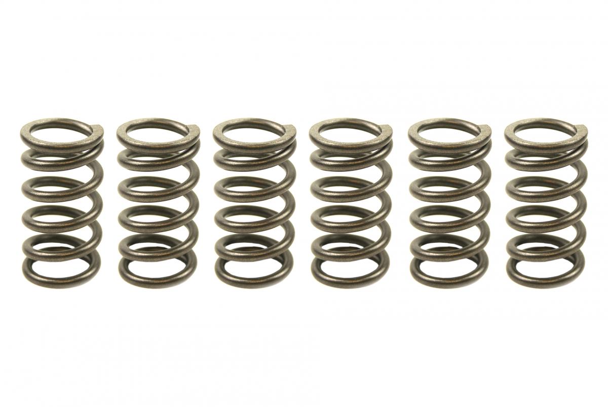 CLUTCH SPRING SET/6 EBC CSK007 image 1