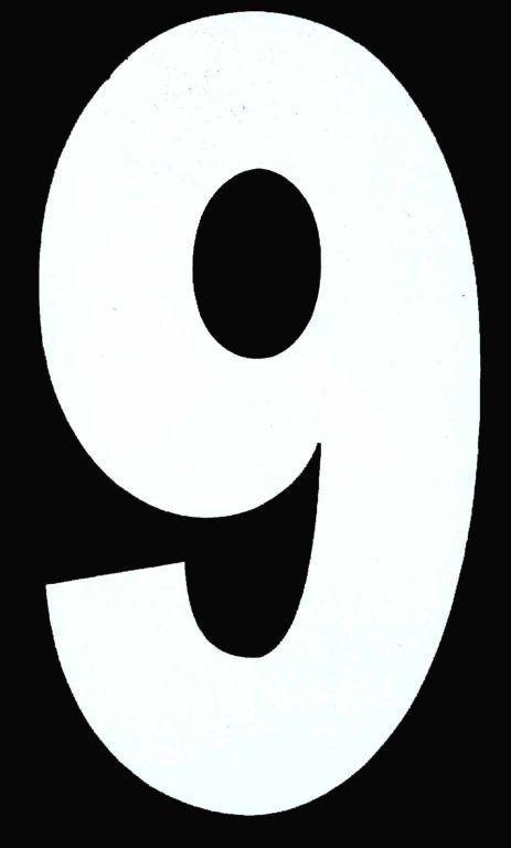 9 WHITE ISDE No9 5.25in image 1