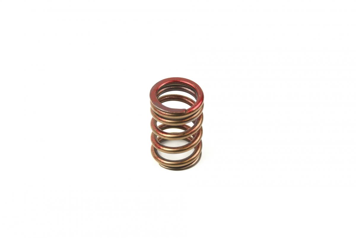 SPRING EX RMZ450 05-09 image 1