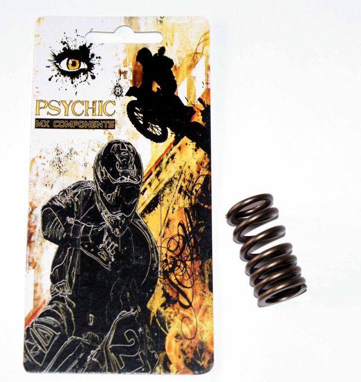 SPRING EXHAUST RMZ450 08-10 image 1