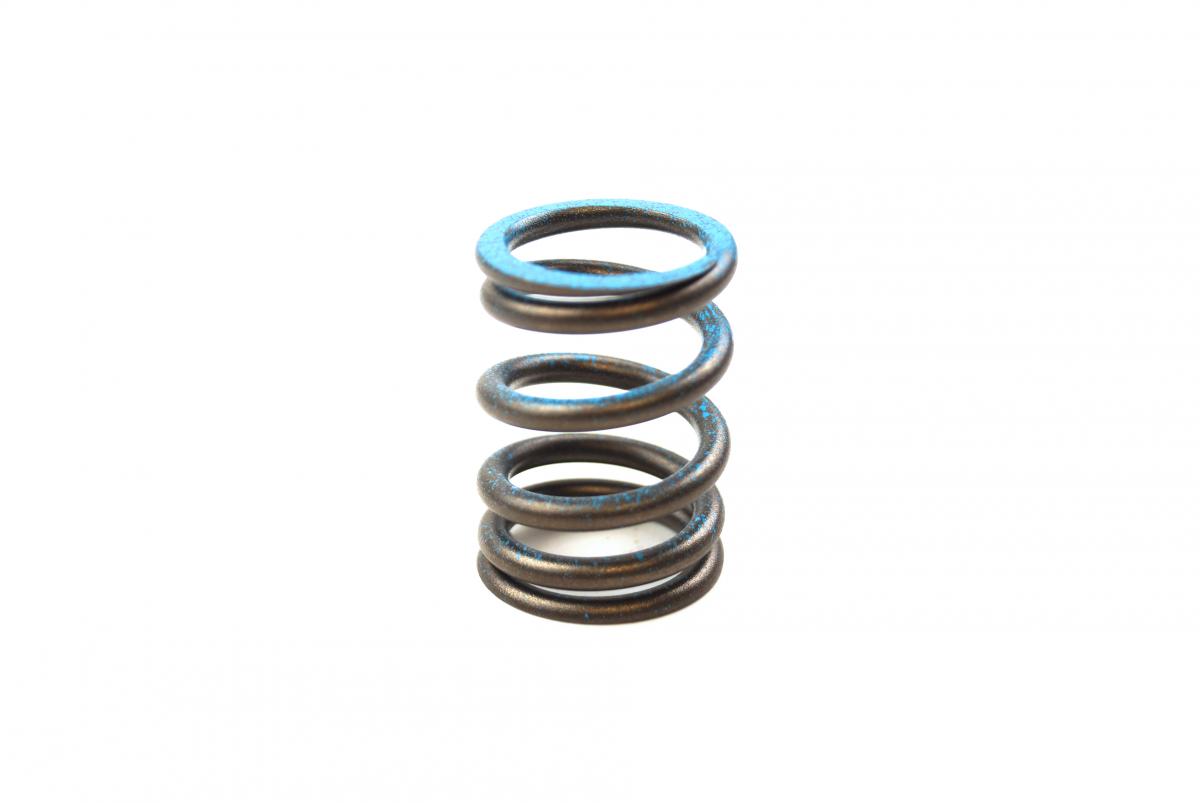 SPRING INTAKE RMZ450 08-11 image 1