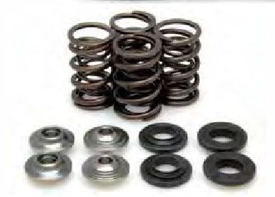 VALVE SPRING KIT KTM250 05-07, KIBBLEWHITE 96-96090 RACING thumbnail 2