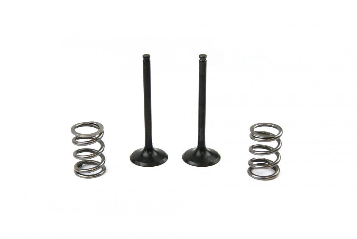 KIT EX VALVE+SPRING LT-R450, PROX 28.SES3406-1 EXHAUST