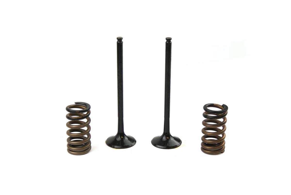 KIT EX VALVE+SPRING KTM250, PROX 28.SES6329-1 EXHAUST