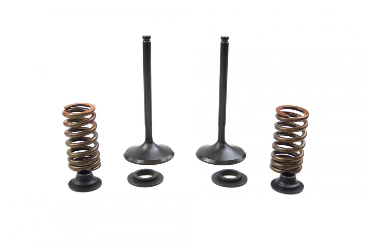 VALVE KIT INTAKE YZF450 10-13, PSYCHIC XU-09541IK