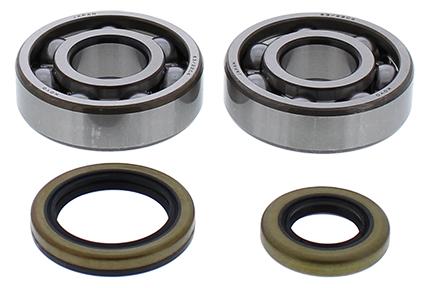 CRANKSHAFT BEARING & SEAL KIT GASGAS, ALLBALLS 24-1119 image 1