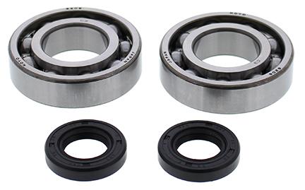CRANKSHAFT BEARING & SEAL KIT BETA, ALLBALLS 24-1122 image 1