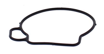 FLOAT BOWL GASKET ONLY 06-22 YAM TTR50, ALLBALLS 46-5076 DIRT